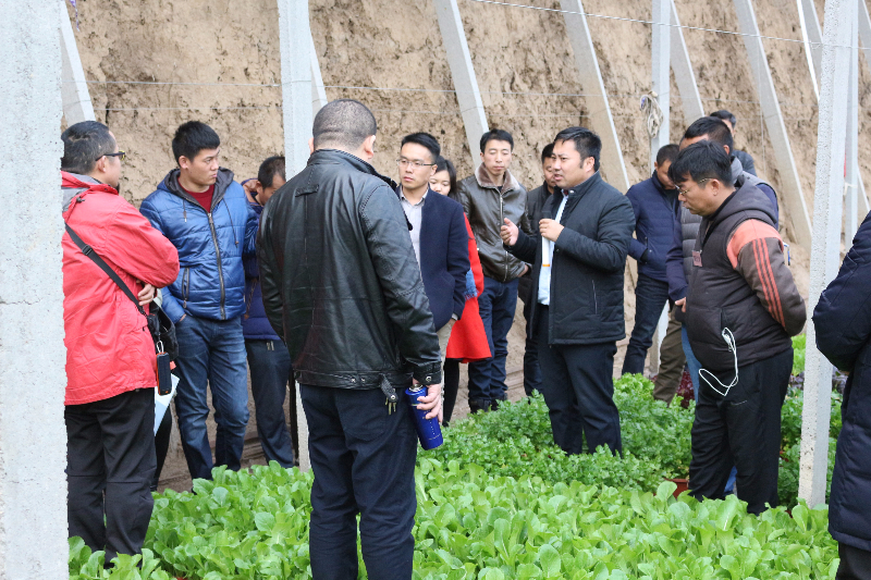在盆栽蔬菜溫室，李軍老師給十二期學員講解盆栽蔬菜技術(shù)