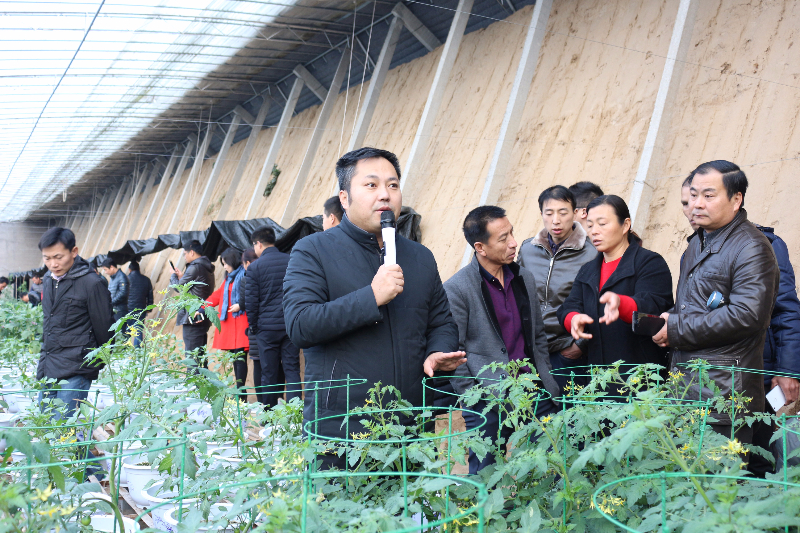 李軍老師給十二期學員講解茄果類盆栽蔬菜的技術(shù)